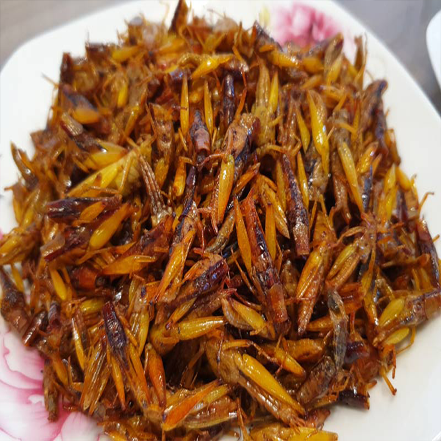 Châu-Chấu-Làm-Sạch
