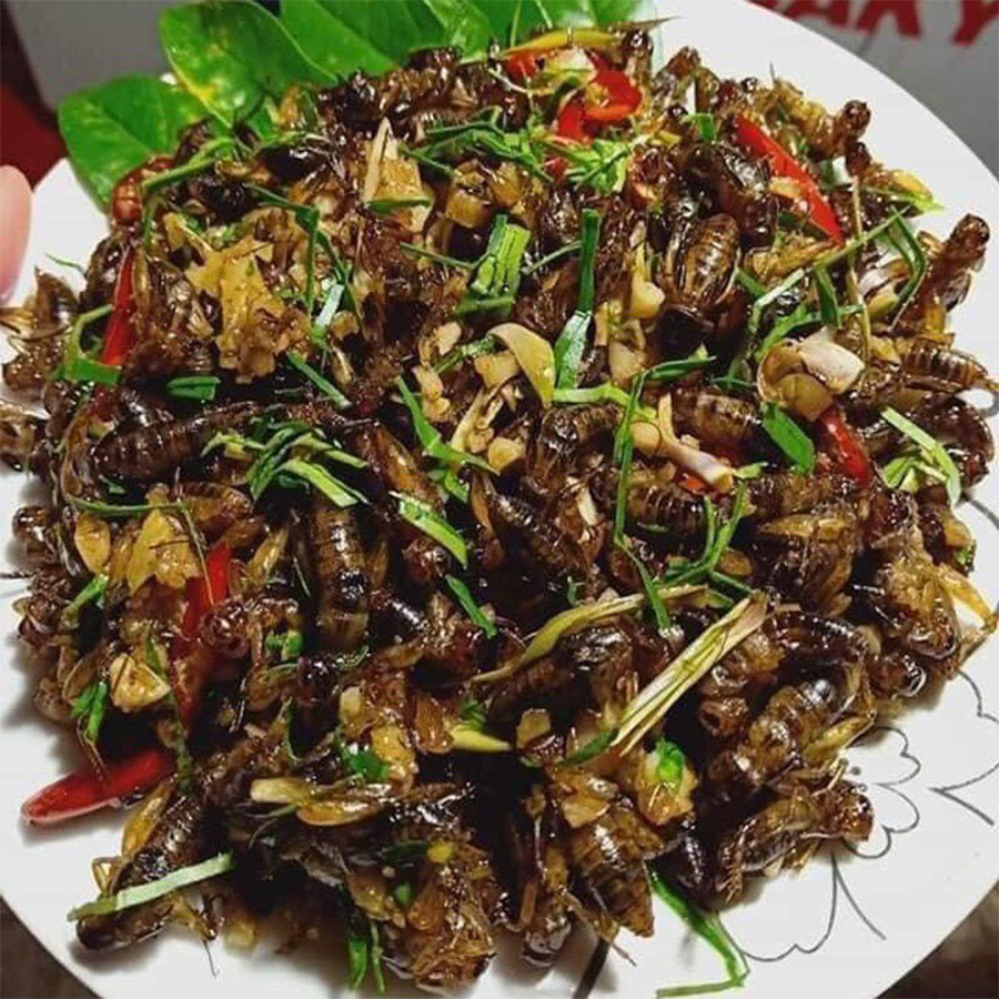 Dế Trứng