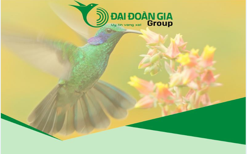 GIỚI THIỆU VỀ CÔNG TY CỔ PHẦN TẬP ĐOÀN ĐẠI ĐOÀN GIA